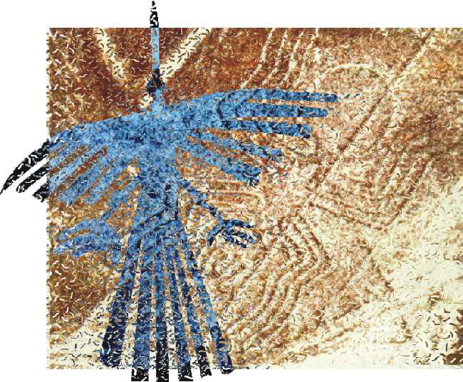 Ara�a p�jaro, de Juan Barbagelata.