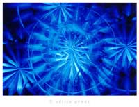 Fotodise�o (05), de Adri�n G�mez.