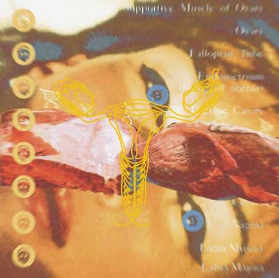 Juan Barbagelata: Vagina (Carne).