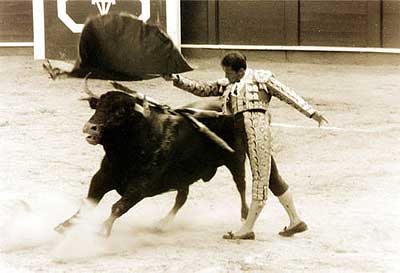 Fotograf&iacute;a de la serie Sangre y arena, de Fabio Borquez