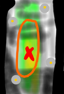 Cronos, de Antoni Cortadella.