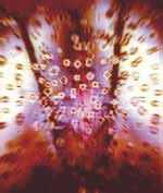 Amore/Passione, de Juan Barbagelata