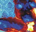 Amore/Passione, de Juan Barbagelata