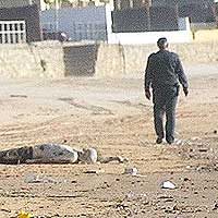 Detalle de una fotografía de Juan Carlos Toro.