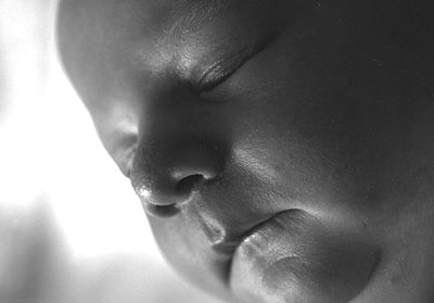 Retratos de "Here, There and Everywhere" [1], serie fotogr&aacute;fica de Fabio Borquez