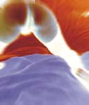 Amore/Passione, de Juan Barbagelata