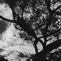 Detalle de una fotograf&iacute;a de Carmelo Raydan.