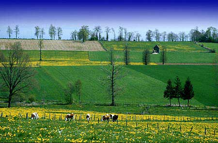 Languedoc 2, fotograf&iacute;a de Koldo Badillo.