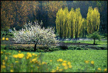 Tarn 1, fotograf&iacute;a de Koldo Badillo.