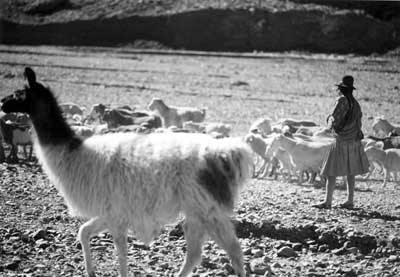 4.287 km a trav&eacute;s de los Andes, serie fotogr&aacute;fica de Fabio Borquez