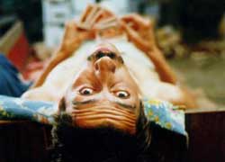 Gato negro, gato blanco