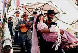 Gato negro, gato blanco