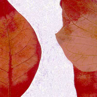 Composici&oacute;n de Eld&iacute;goras.